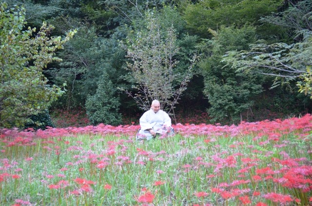 (주)도리천 이미지