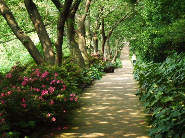 한라수목원 이미지