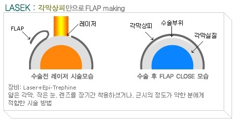 다빈치클린 이미지