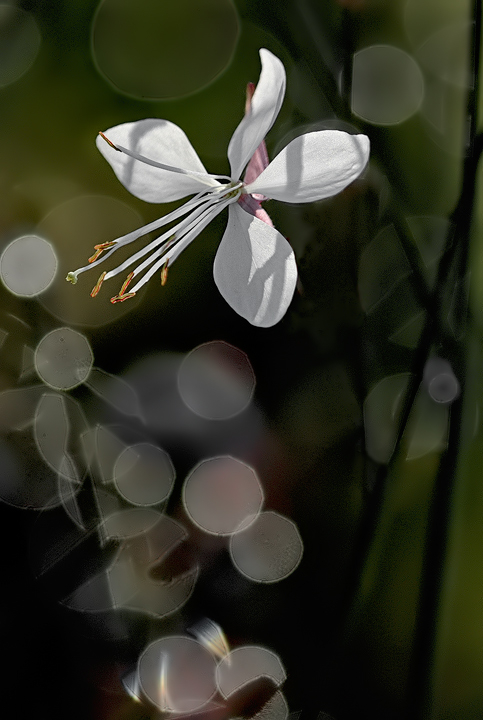 11199C094958610EACC102