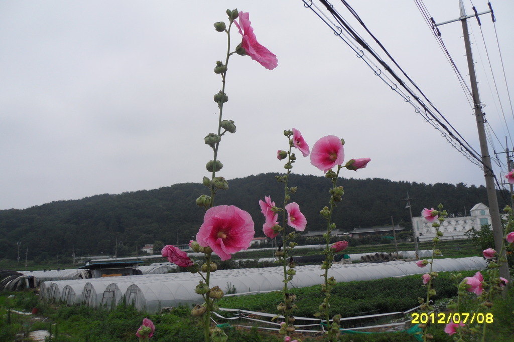 달구벌식당 이미지