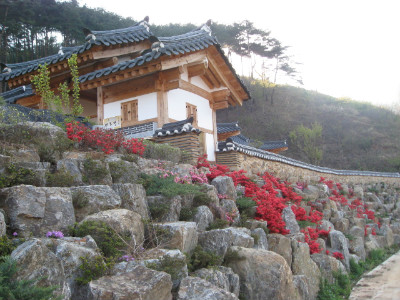 태호당 이미지