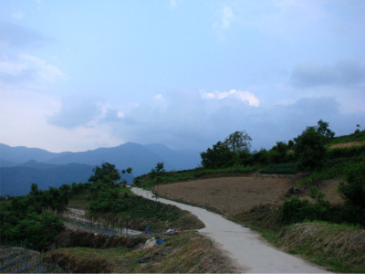 지리산사람들법인 이미지
