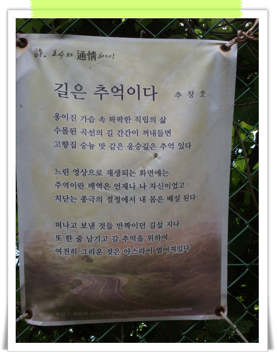 하이클리어 이미지