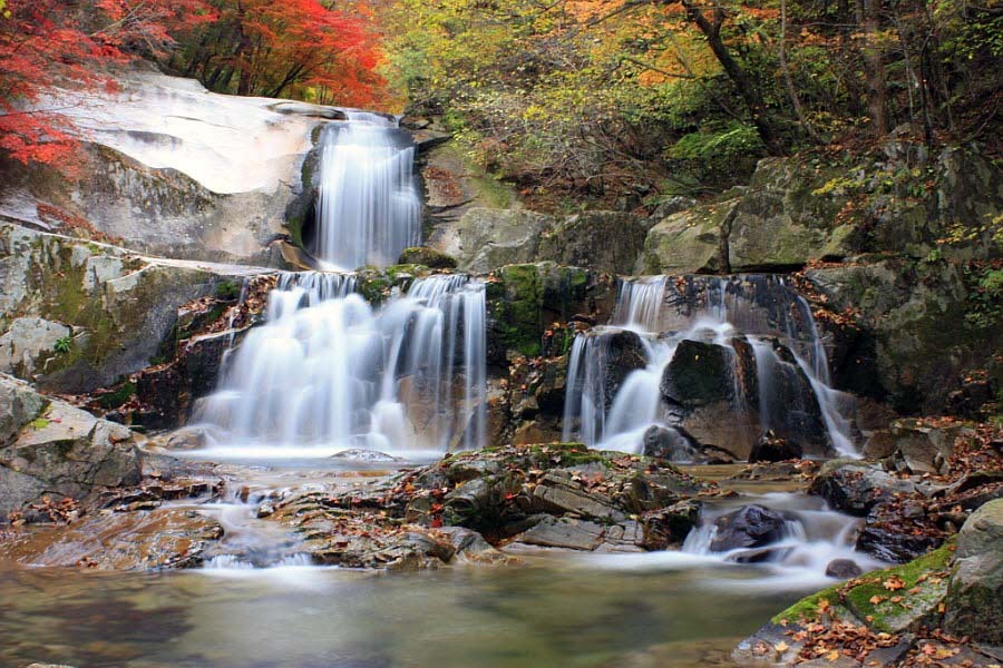 영동전자주 이미지