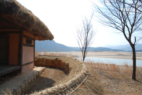 낙동강오리알 이미지