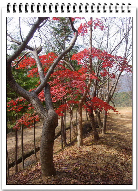 포스코백운산수련원 이미지