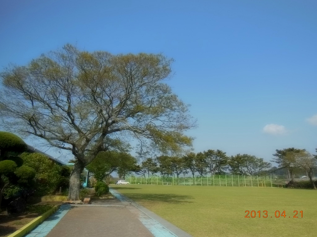 애월초등학교 이미지