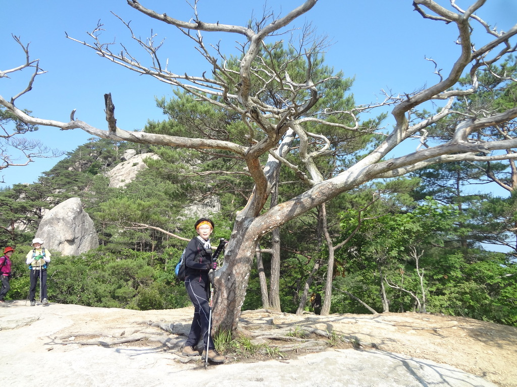 시루봉휴게소 이미지