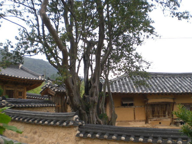 문 이미지