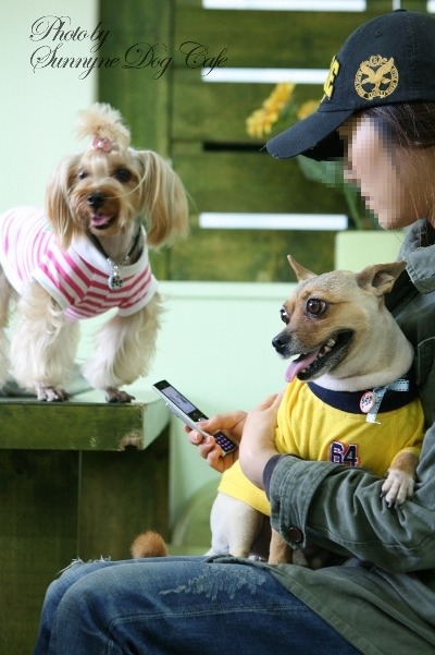 카페소민 이미지