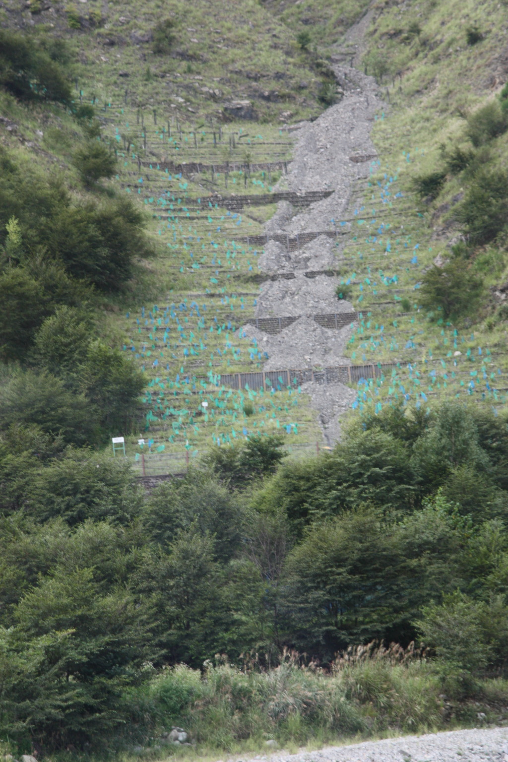 산세라 이미지
