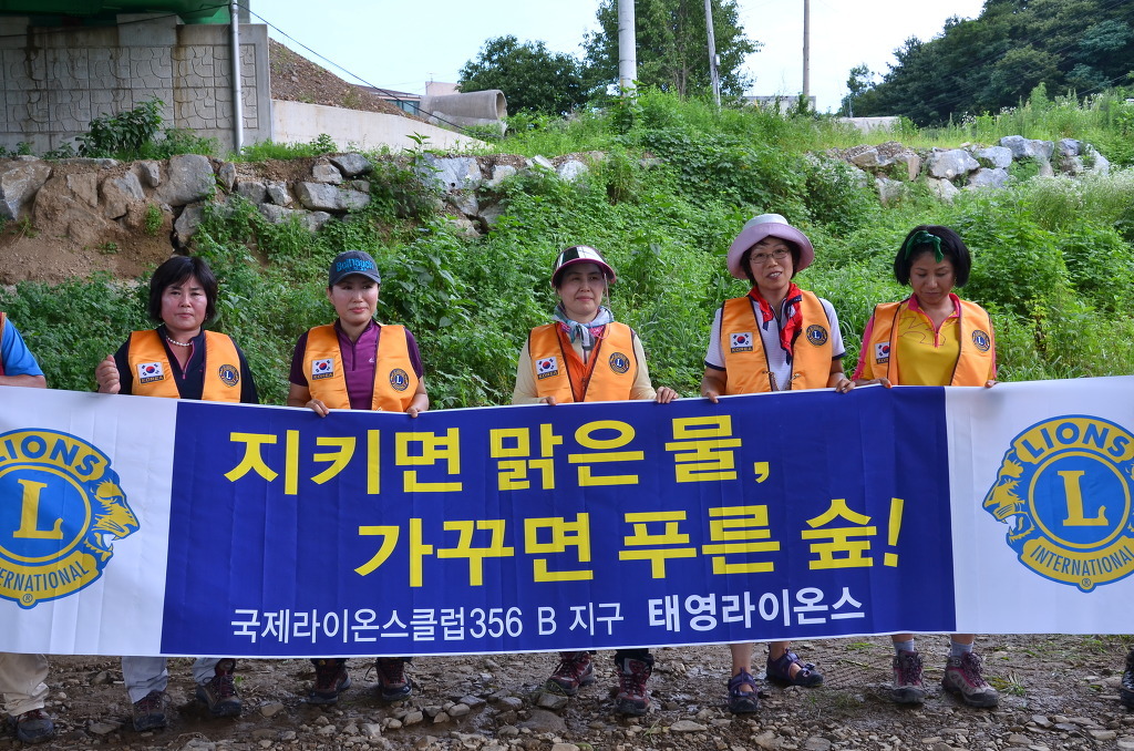푸른숲청소 이미지