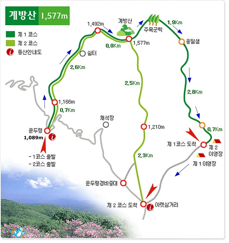 서부탑주유소 이미지