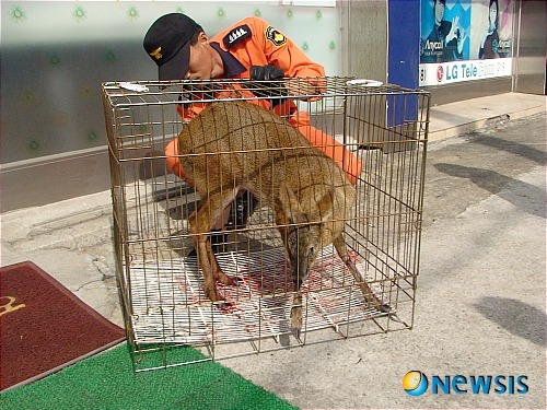 자신의 목숨을 버린자들 | 인스티즈