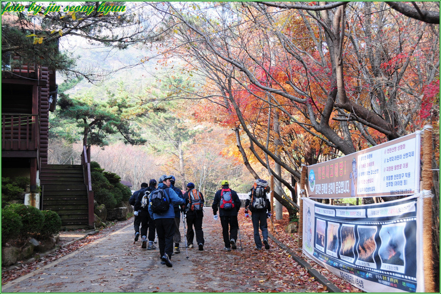 한신여행사 이미지