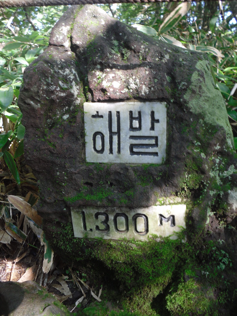 한라산마루 이미지