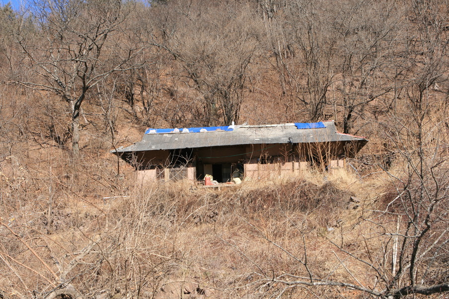 오지티 이미지