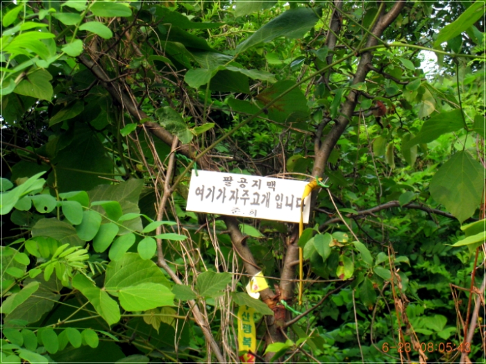삼영주유소 이미지