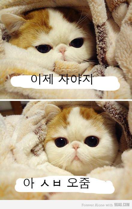 공감 이미지