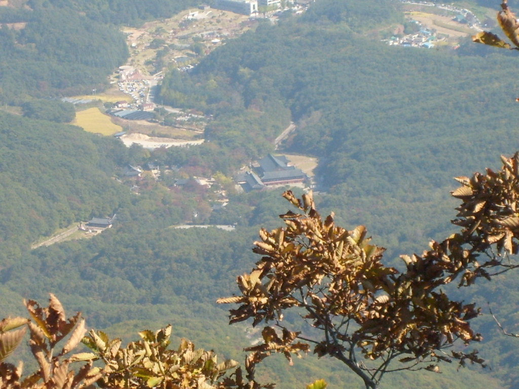 직지민박 이미지