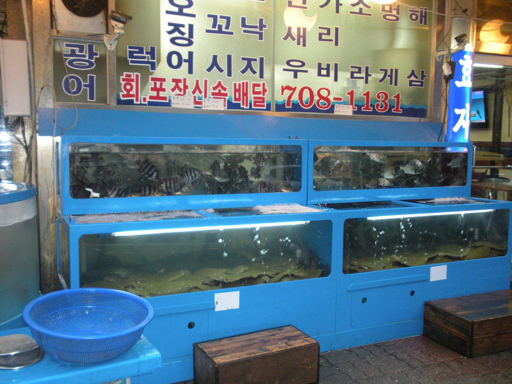 효자어촌 이미지