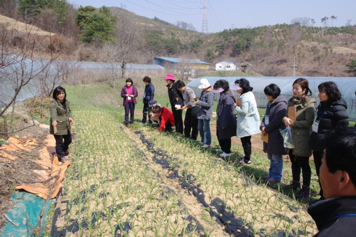 농어촌체험농장 이미지