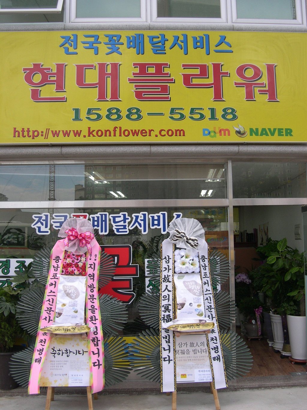 전국꽃배달 이미지