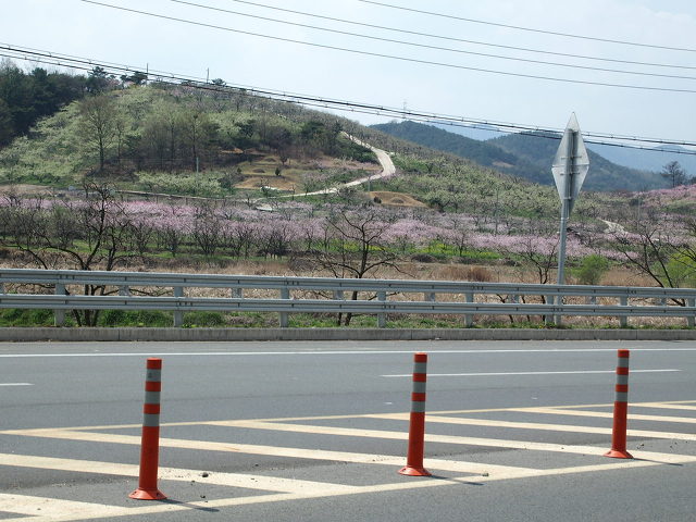 염공방 이미지