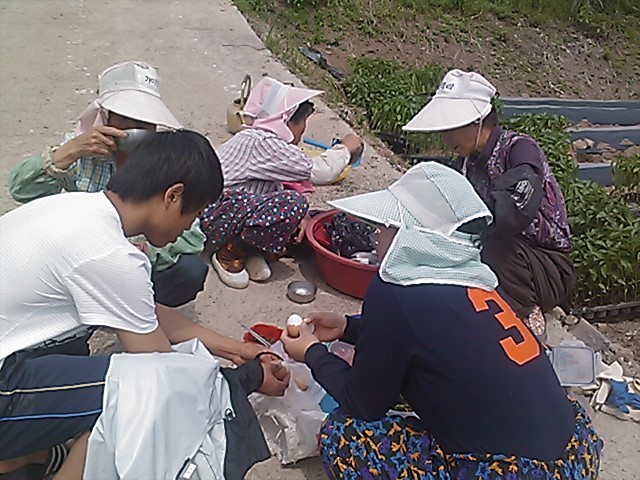 새참김밥 이미지