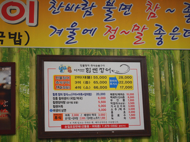 여자만장어 이미지