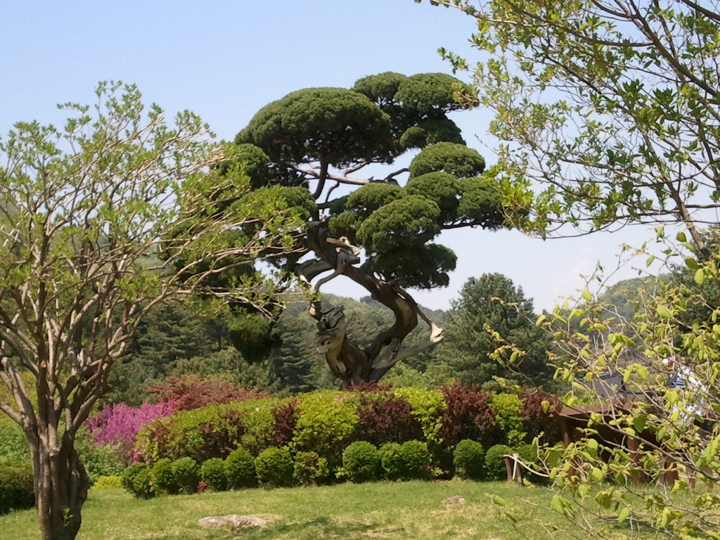 천연염색방 이미지