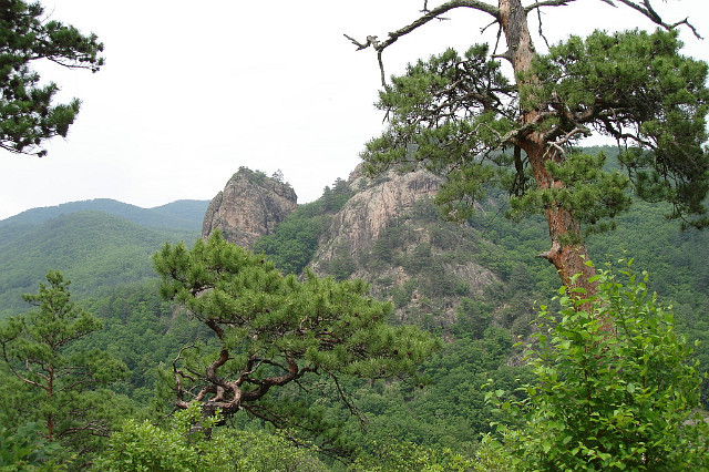 천년바위 이미지