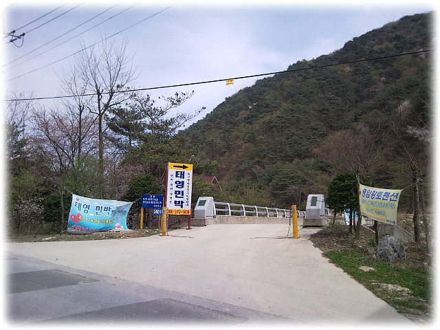 태영민박 이미지