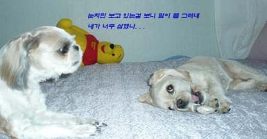 봉순네일 이미지