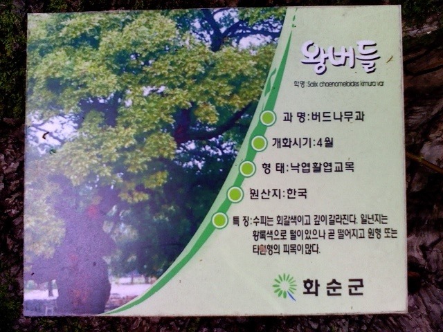청궁 이미지