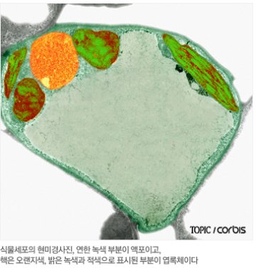단풍이야기 이미지