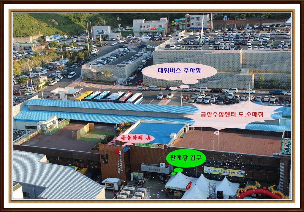 금산수삼 이미지
