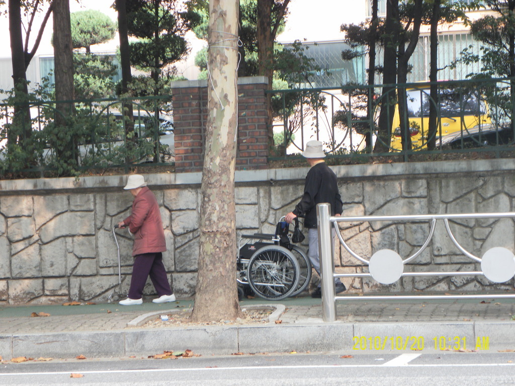 아름다운 산책 이미지