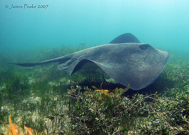 183EB4484D4EB4341D8986