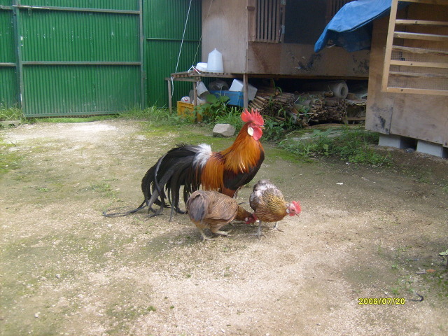 동천홍 이미지