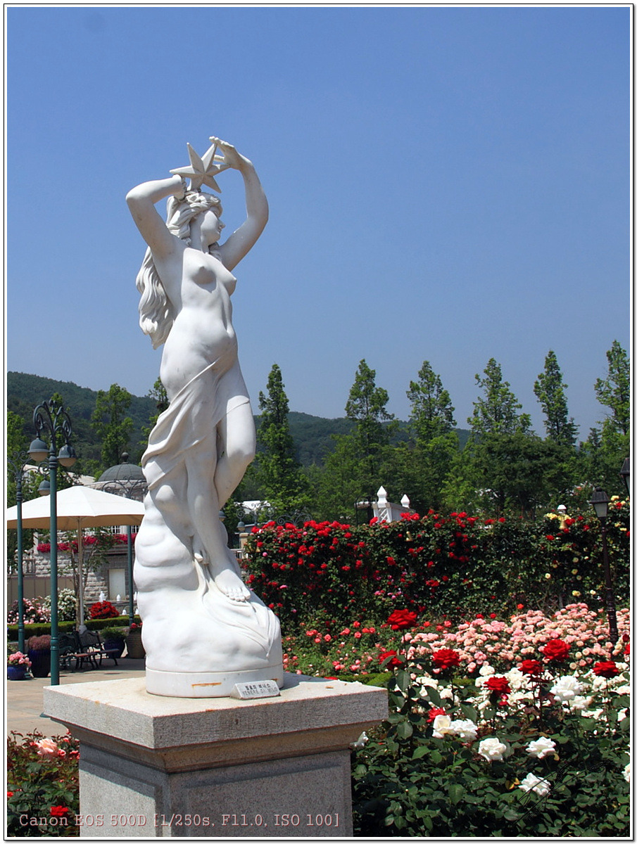 장미화원 이미지