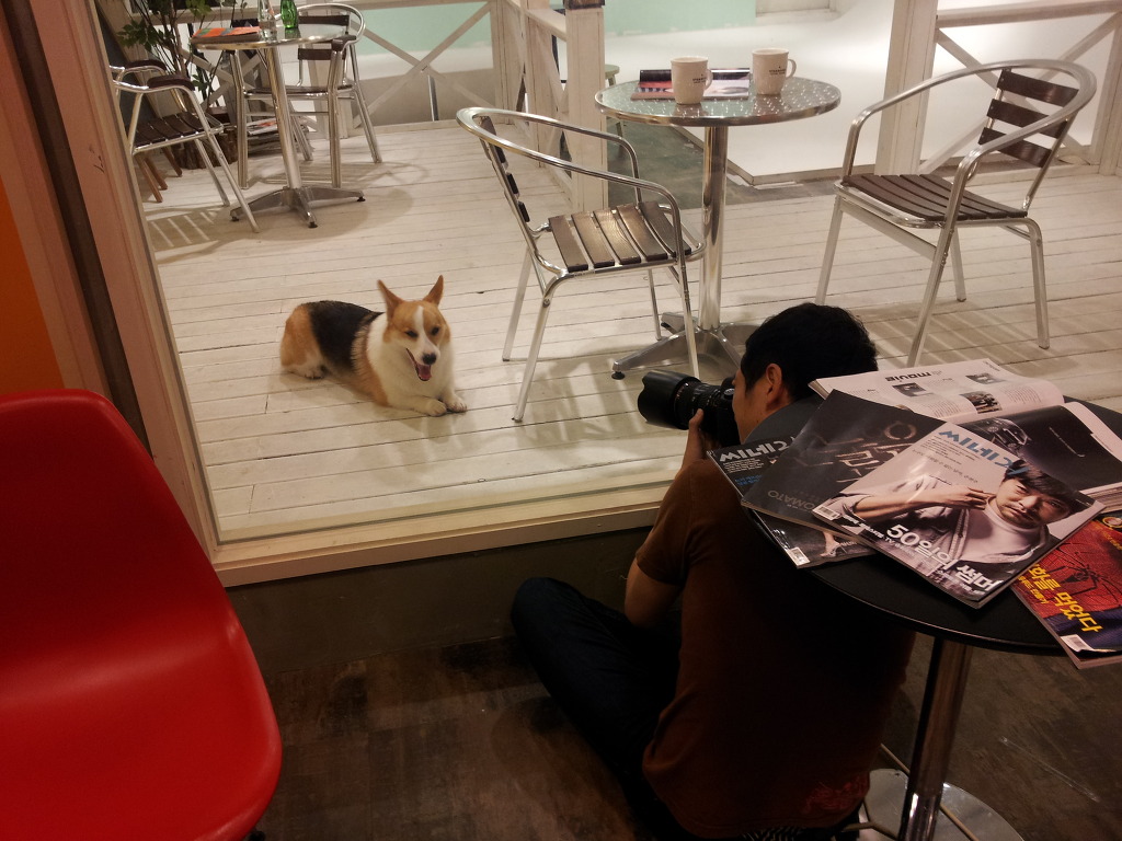 브라운스튜디오 이미지