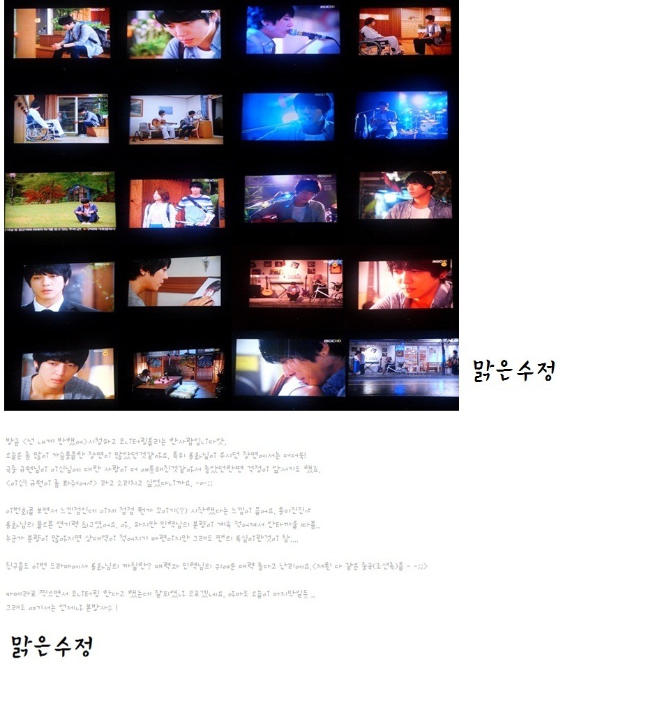 금성여행사 이미지