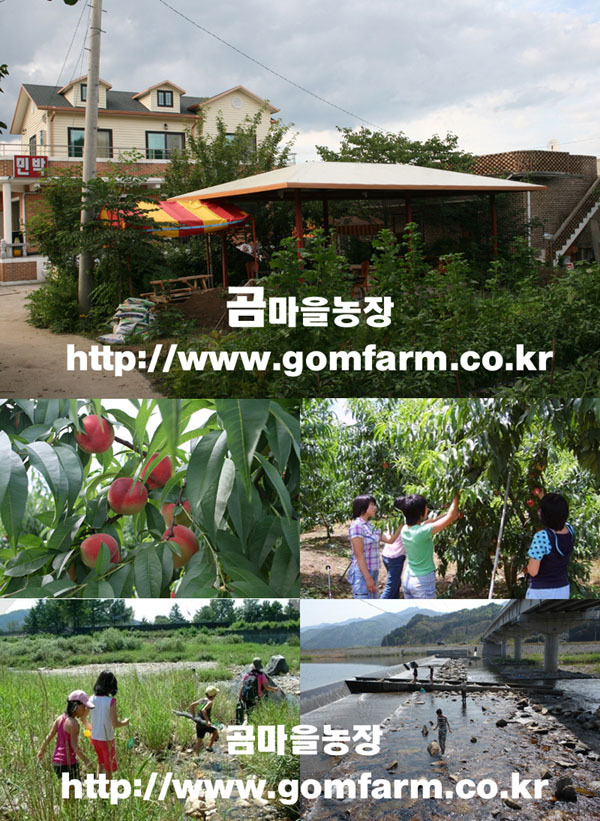 곰마을민박 이미지