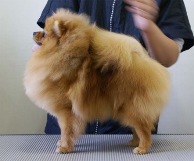 야야 이미지