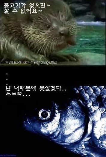 칠성광고 이미지