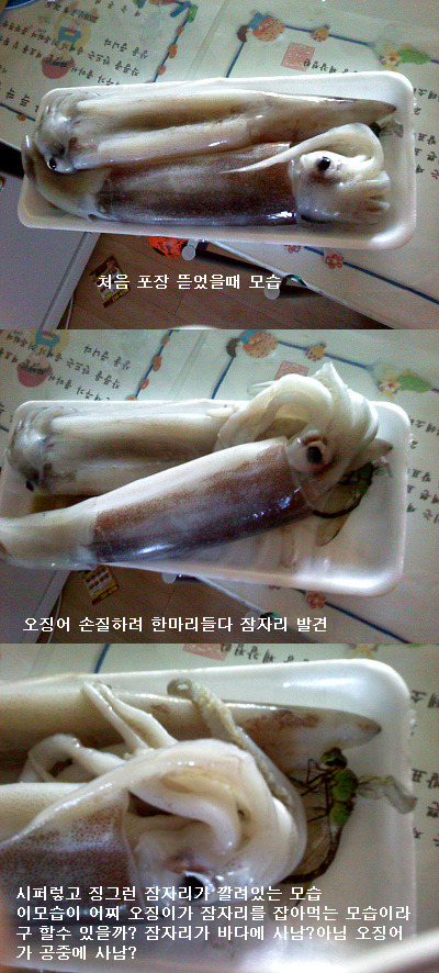 리리홈 이미지