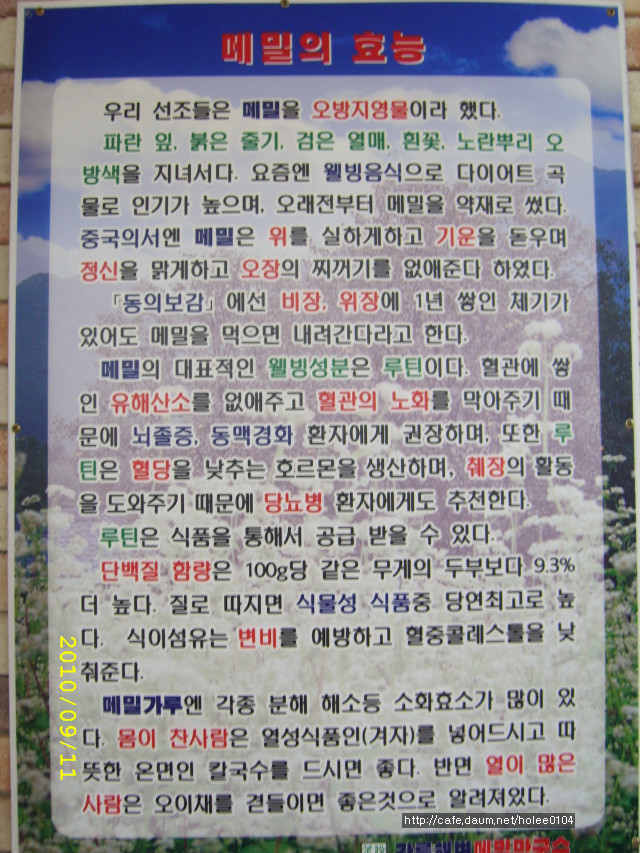 강릉해변메밀막국수 이미지