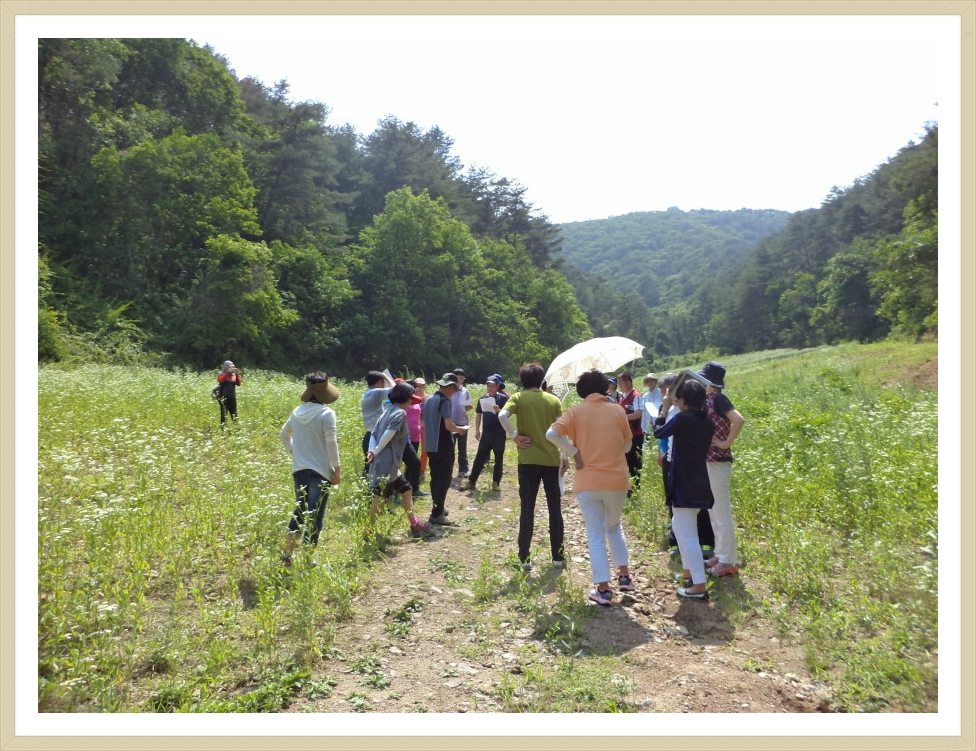건축사사무소명인건축 이미지